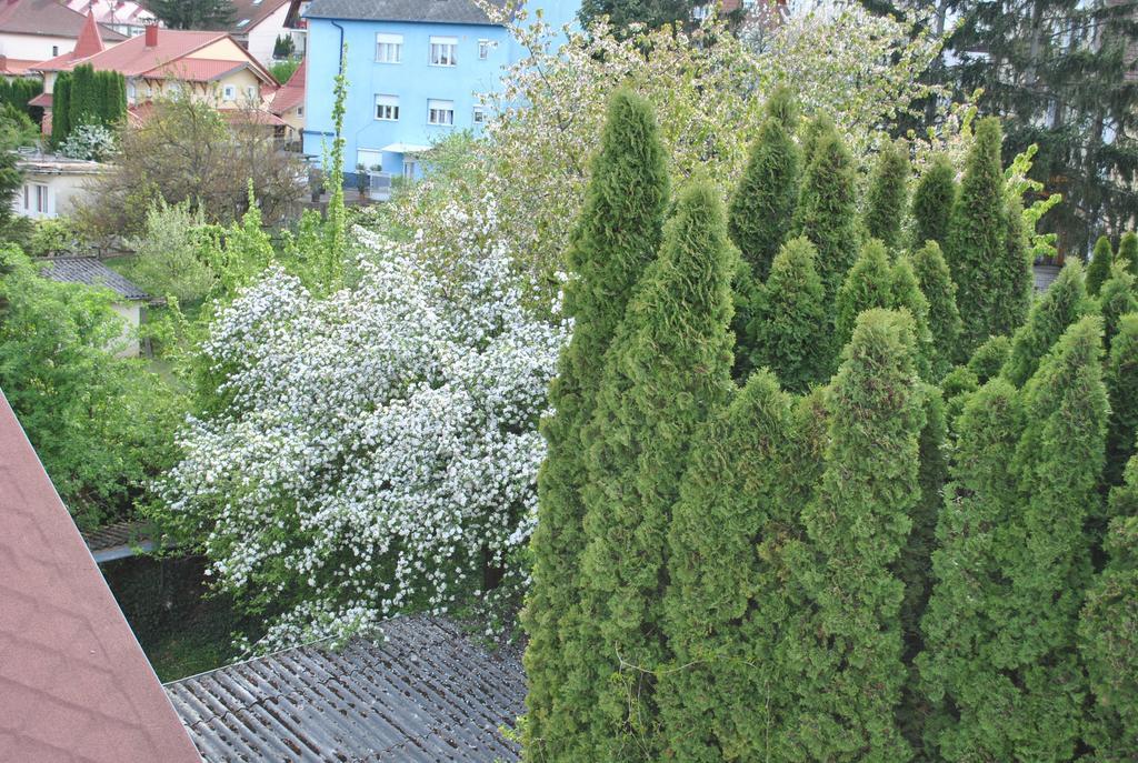 I Love Heviz Apartments Dış mekan fotoğraf