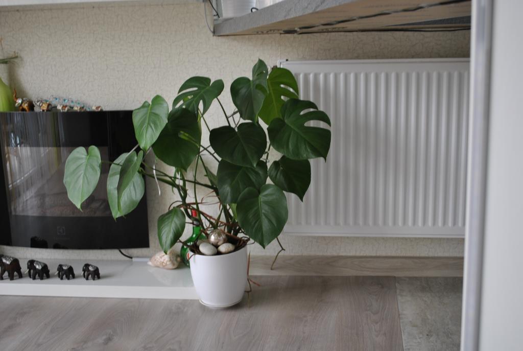 I Love Heviz Apartments Dış mekan fotoğraf