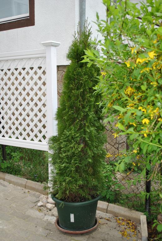 I Love Heviz Apartments Dış mekan fotoğraf